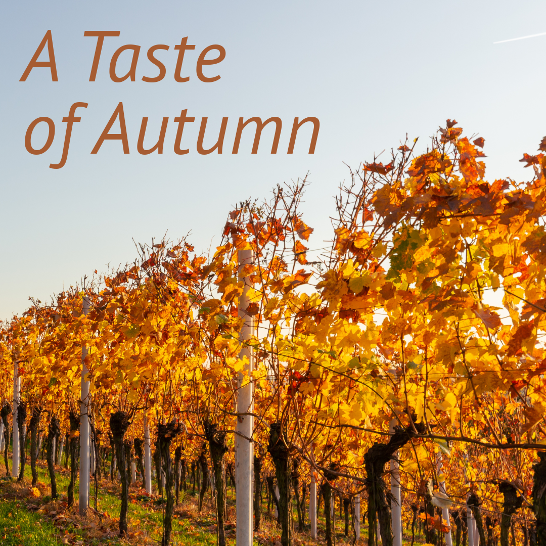 Image of A Taste of Autumn 🍂